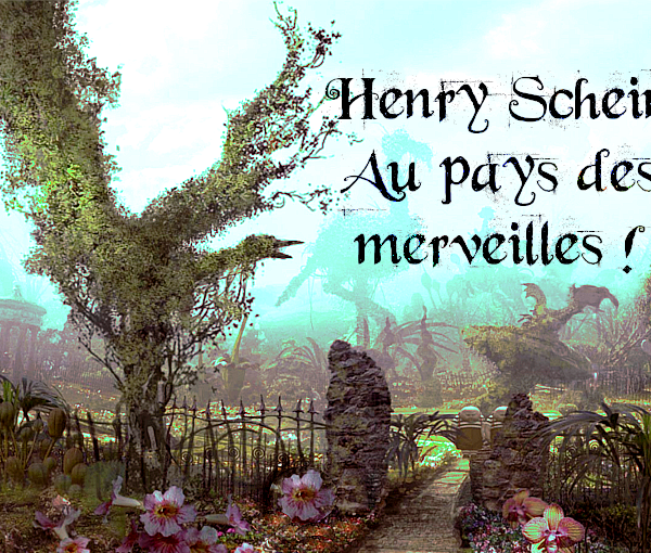 Henry Schein – Au pays des merveilles !